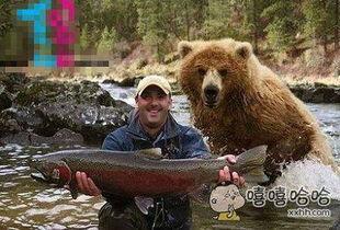 上网猎物在线播放,揭秘网络世界的惊悚追踪