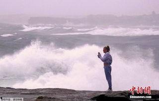 巨浪手机免费观看,畅享视听盛宴